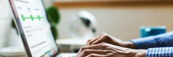 Politica a favore delle PMI E-economy / E-government